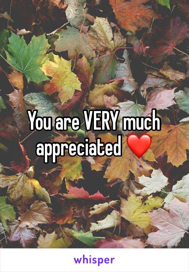 You are VERY much appreciated ❤️