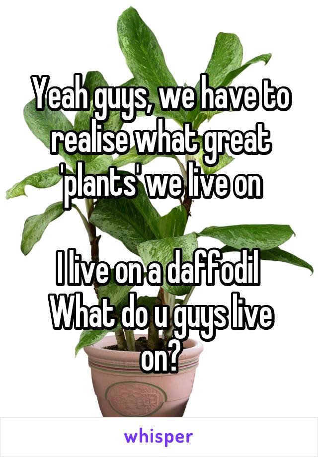 Yeah guys, we have to realise what great 'plants' we live on

I live on a daffodil 
What do u guys live on?