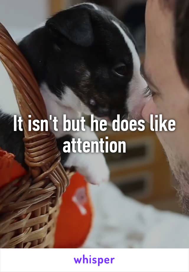 It isn't but he does like attention