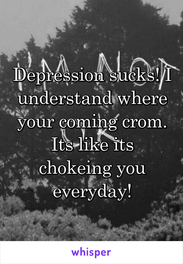 Depression sucks! I understand where your coming crom. Its like its chokeing you everyday!