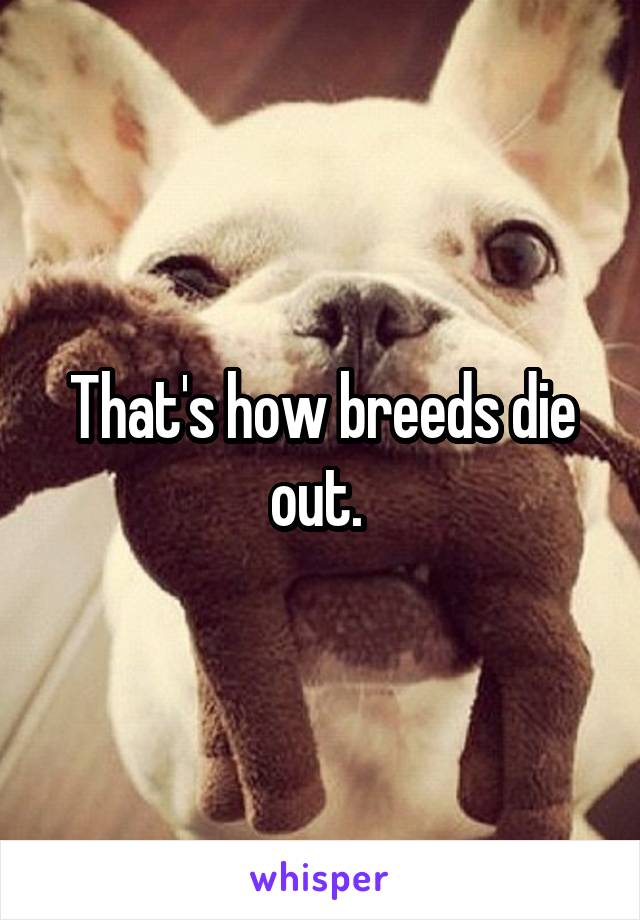That's how breeds die out. 