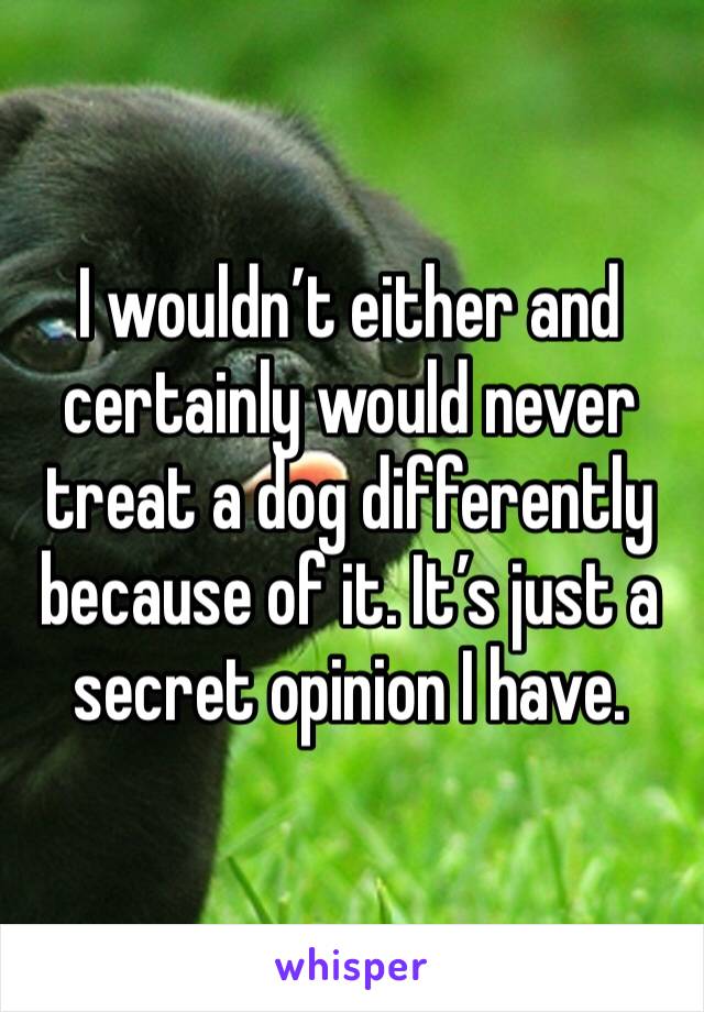 I wouldn’t either and certainly would never treat a dog differently because of it. It’s just a secret opinion I have. 