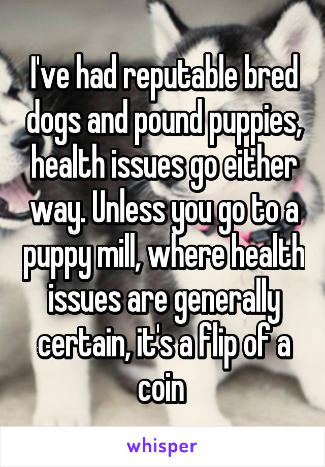 I've had reputable bred dogs and pound puppies, health issues go either way. Unless you go to a puppy mill, where health issues are generally certain, it's a flip of a coin 