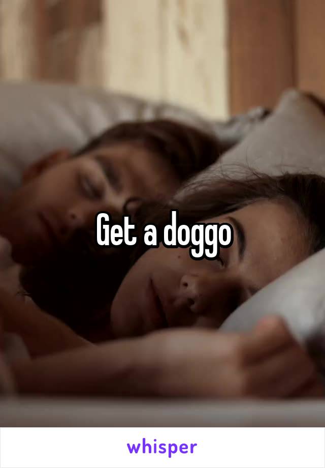 Get a doggo