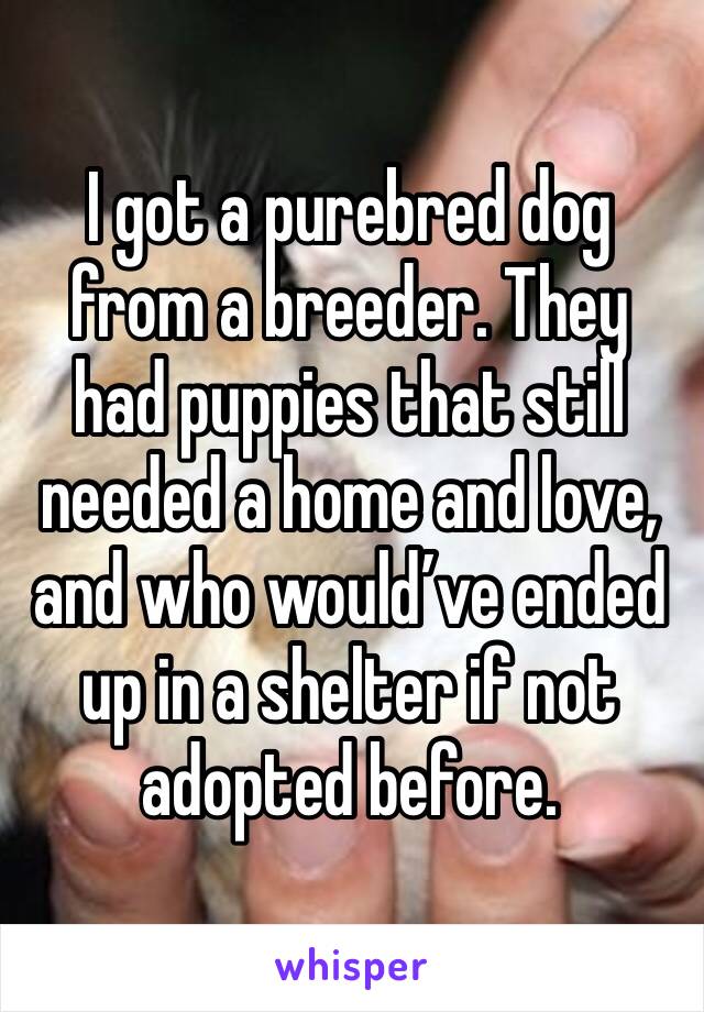 I got a purebred dog from a breeder. They had puppies that still needed a home and love, and who would’ve ended up in a shelter if not adopted before. 
