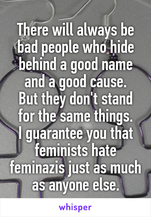 There will always be bad people who hide behind a good name and a good cause.
But they don't stand for the same things.
I guarantee you that feminists hate feminazis just as much as anyone else.