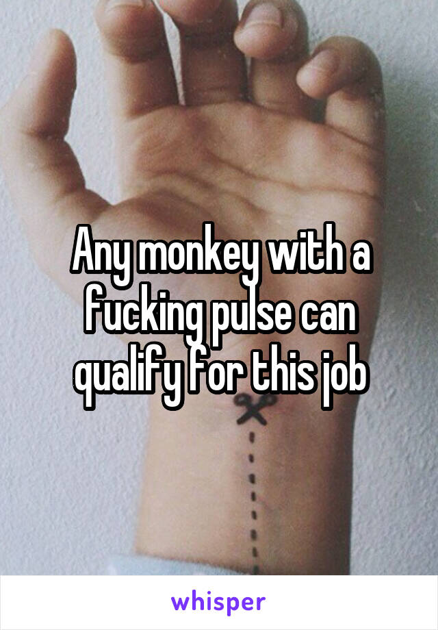 Any monkey with a fucking pulse can qualify for this job