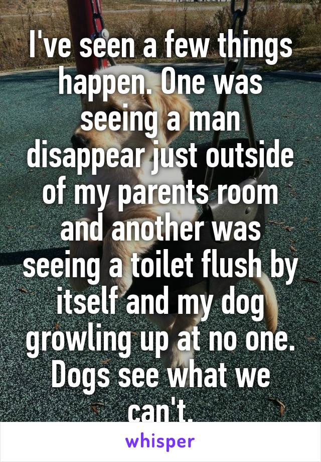 I've seen a few things happen. One was seeing a man disappear just outside of my parents room and another was seeing a toilet flush by itself and my dog growling up at no one. Dogs see what we can't.