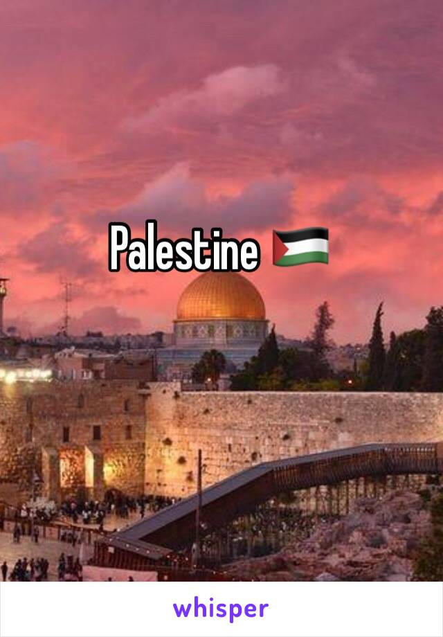 Palestine 🇵🇸