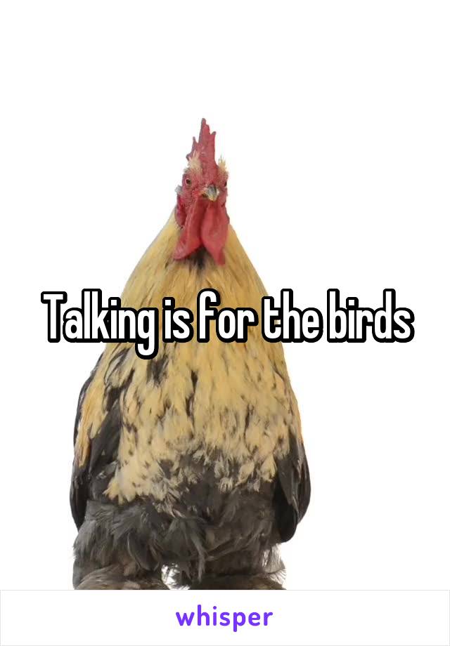 Talking is for the birds