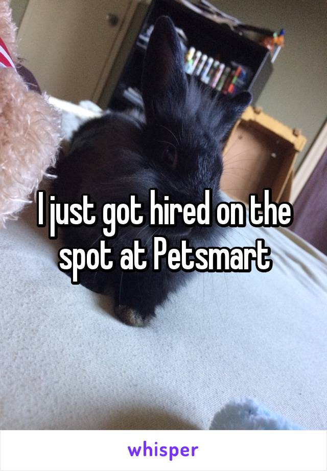 I just got hired on the spot at Petsmart