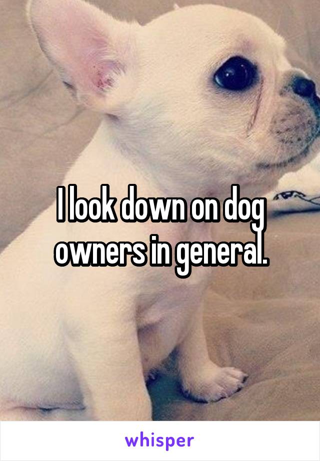 I look down on dog owners in general.