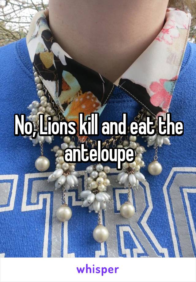 No, Lions kill and eat the anteloupe