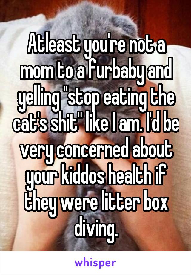 Atleast you're not a mom to a furbaby and yelling "stop eating the cat's shit" like I am. I'd be very concerned about your kiddos health if they were litter box diving.