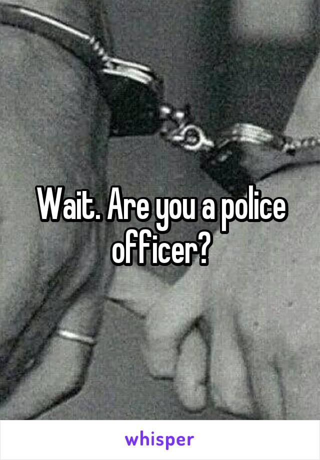 Wait. Are you a police officer?