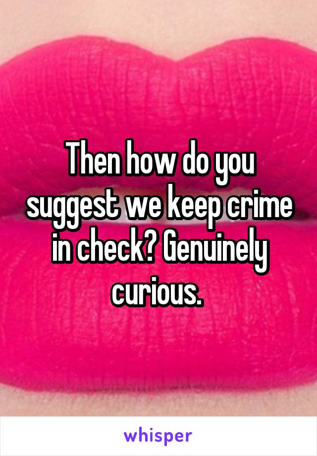 Then how do you suggest we keep crime in check? Genuinely curious. 