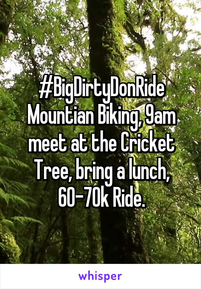 #BigDirtyDonRide
Mountian Biking, 9am meet at the Cricket Tree, bring a lunch, 60-70k Ride.