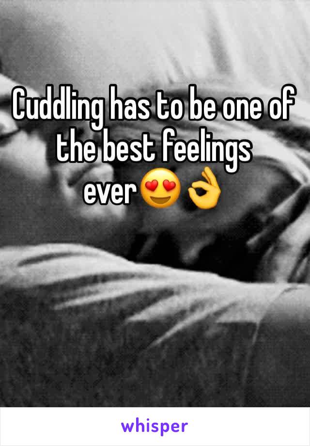 Cuddling has to be one of the best feelings ever😍👌