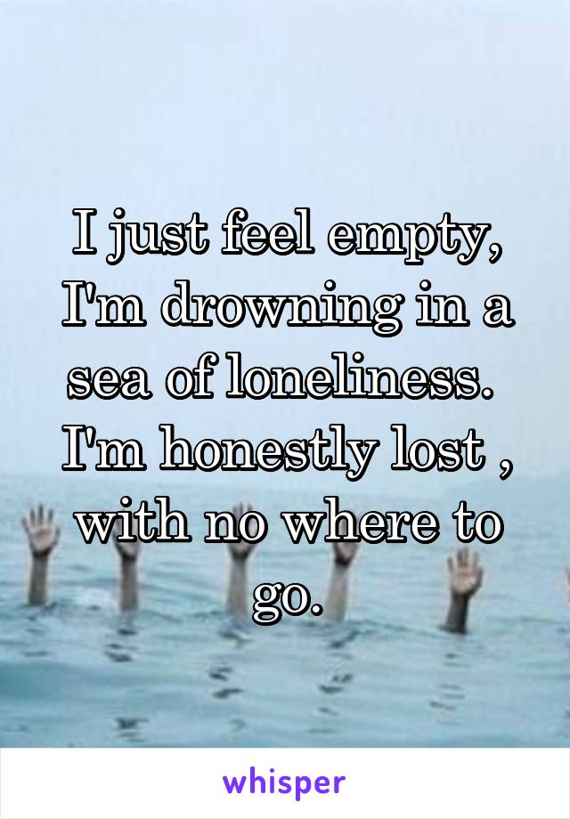 I just feel empty, I'm drowning in a sea of loneliness.  I'm honestly lost , with no where to go.