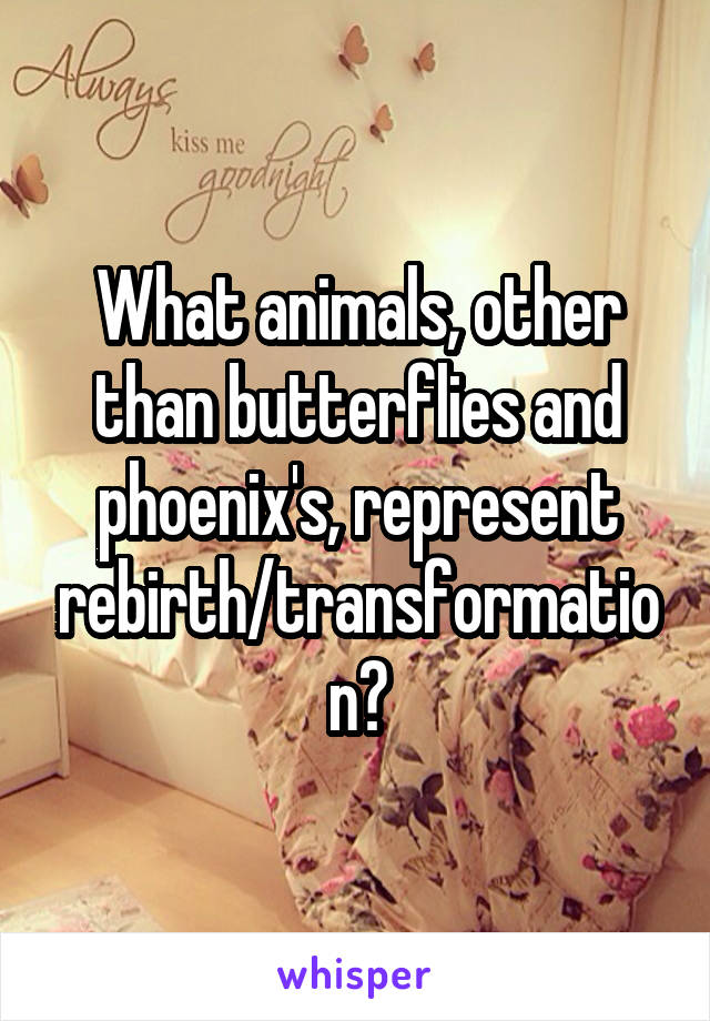 What animals, other than butterflies and phoenix's, represent rebirth/transformation?