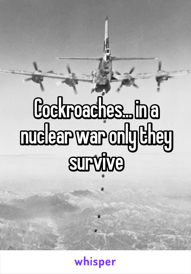 Cockroaches... in a nuclear war only they survive