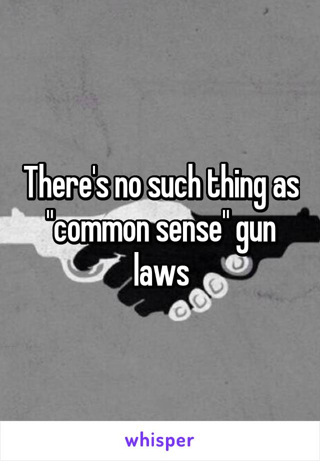 There's no such thing as "common sense" gun laws