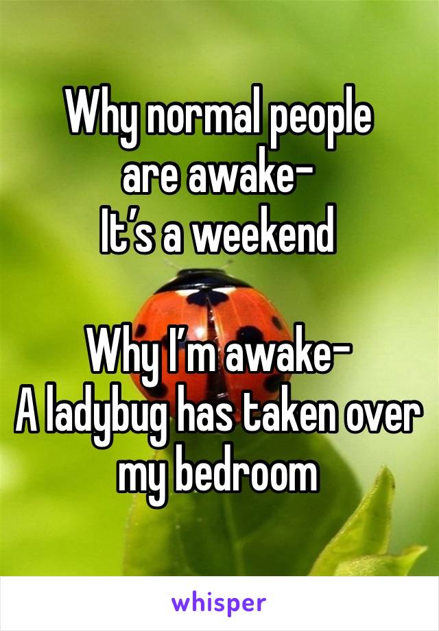 Why normal people are awake- 
It’s a weekend

Why I’m awake-
A ladybug has taken over my bedroom 