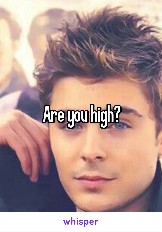 Are you high?