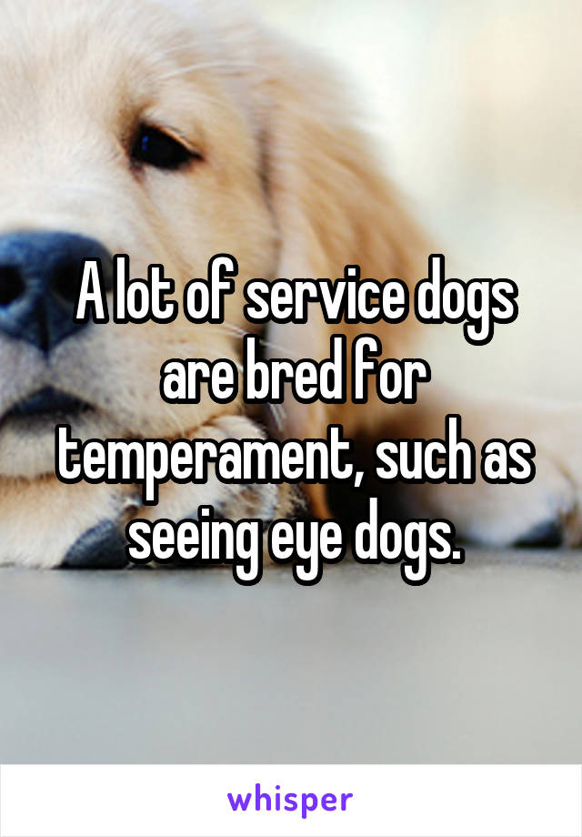A lot of service dogs are bred for temperament, such as seeing eye dogs.