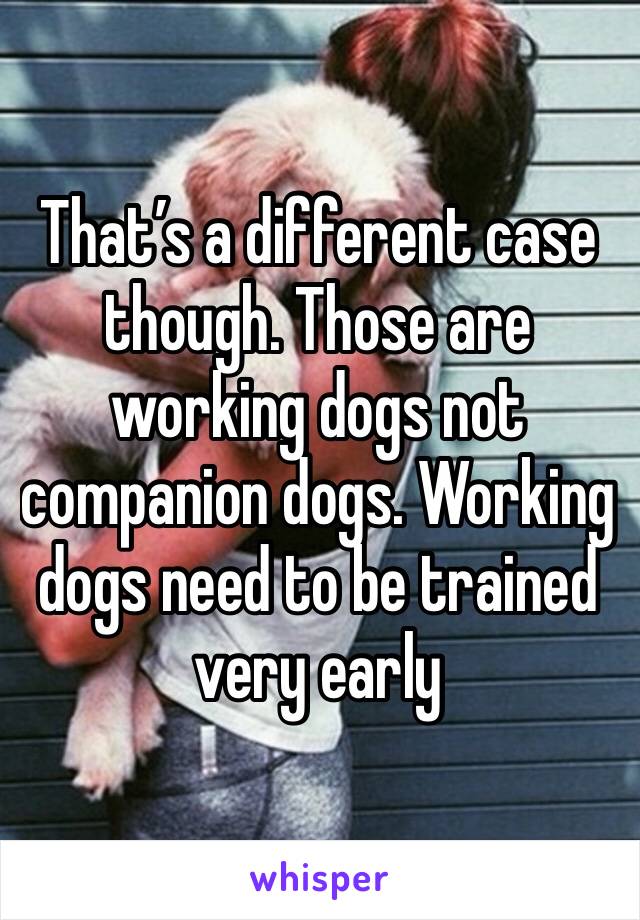 That’s a different case though. Those are working dogs not companion dogs. Working dogs need to be trained very early
