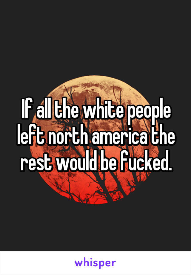 If all the white people left north america the rest would be fucked.