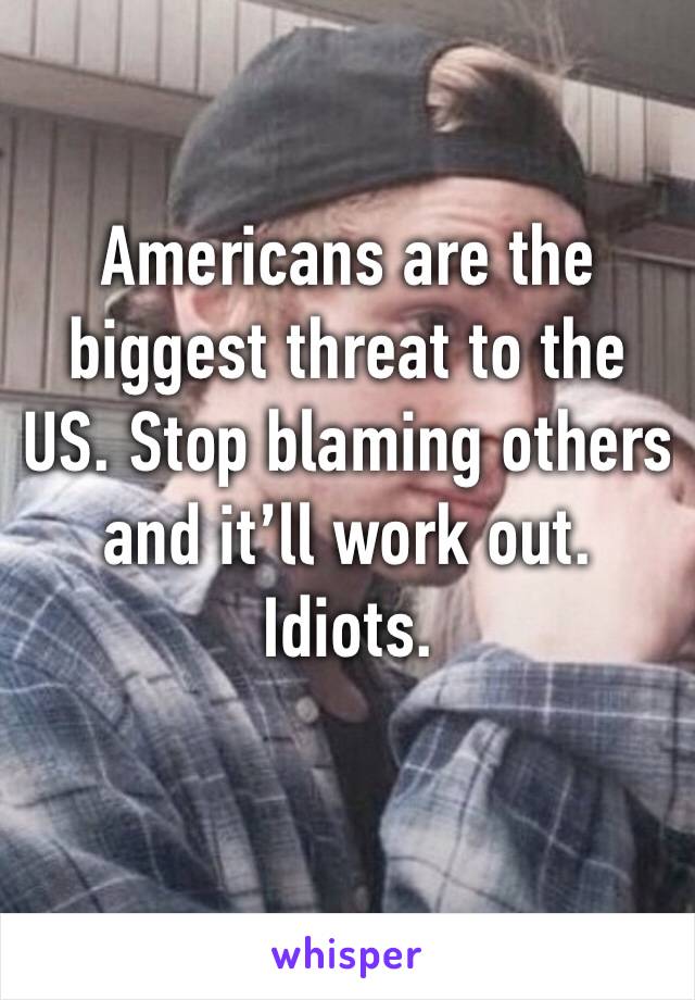 Americans are the biggest threat to the US. Stop blaming others and it’ll work out. Idiots. 