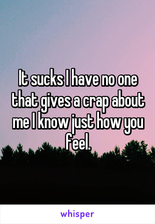 It sucks I have no one that gives a crap about me I know just how you feel.