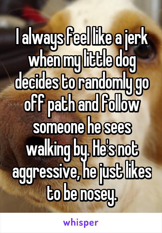 I always feel like a jerk when my little dog decides to randomly go off path and follow someone he sees walking by. He's not aggressive, he just likes to be nosey.