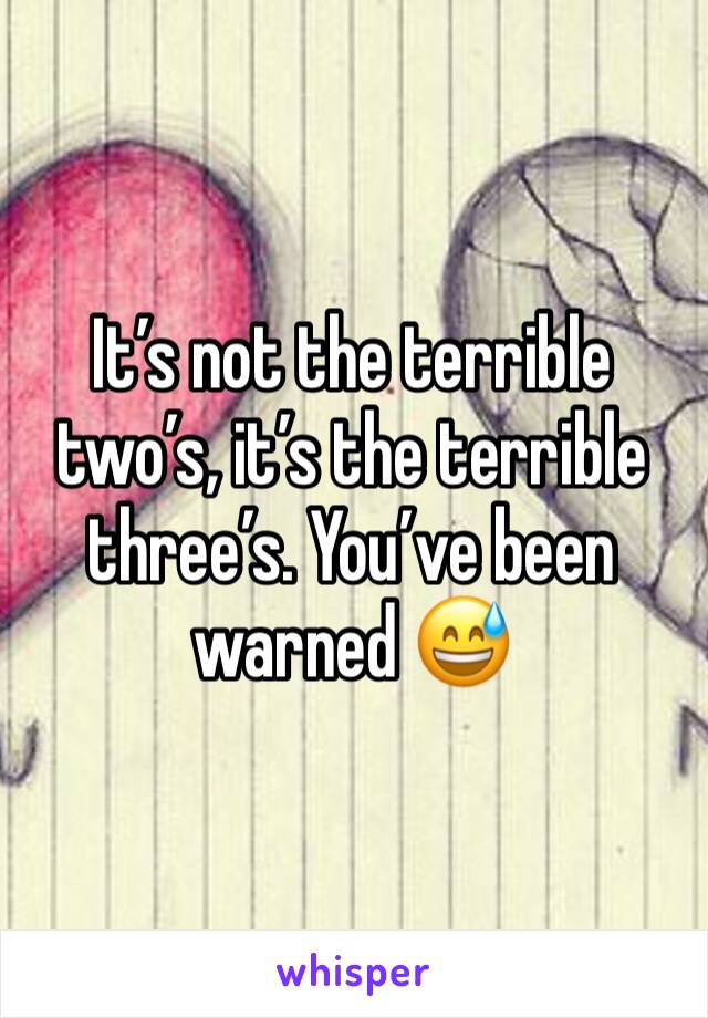 It’s not the terrible two’s, it’s the terrible three’s. You’ve been warned 😅