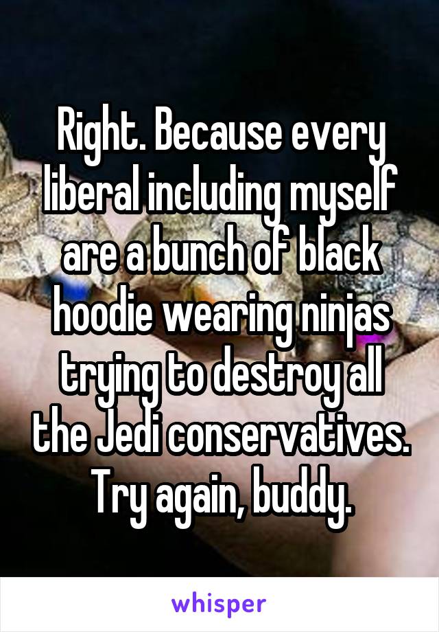 Right. Because every liberal including myself are a bunch of black hoodie wearing ninjas trying to destroy all the Jedi conservatives. Try again, buddy.