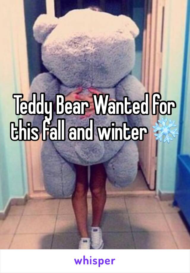 Teddy Bear Wanted for this fall and winter ❄️ 