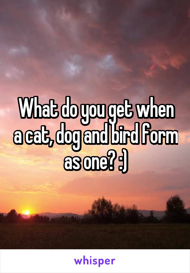 What do you get when a cat, dog and bird form as one? :)