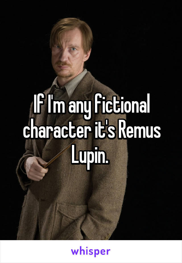 If I'm any fictional character it's Remus Lupin. 