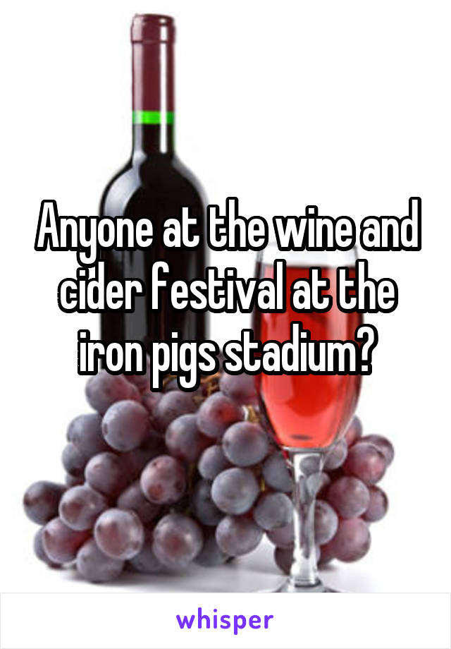 Anyone at the wine and cider festival at the iron pigs stadium?
