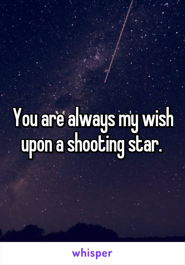 You are always my wish upon a shooting star. 