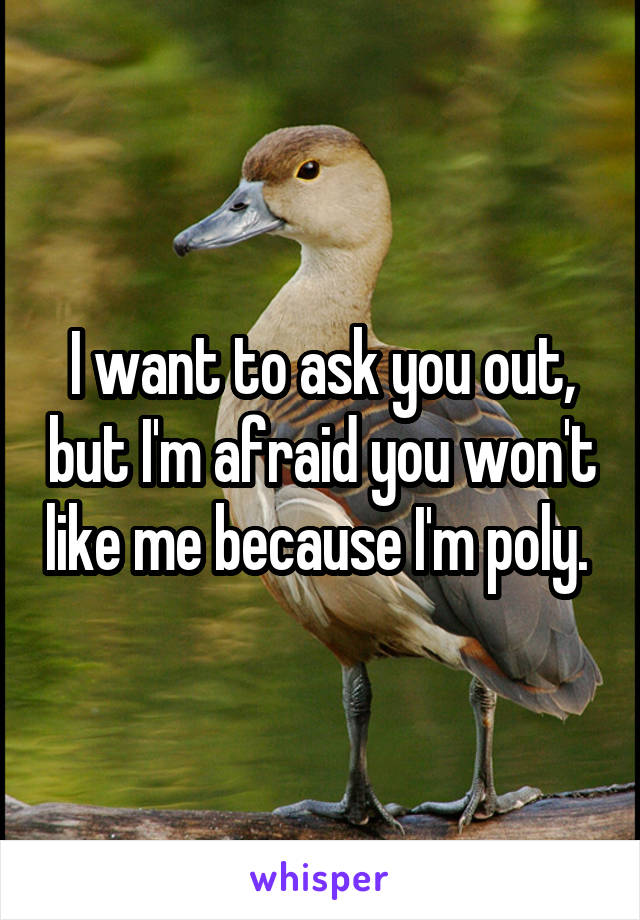 I want to ask you out, but I'm afraid you won't like me because I'm poly. 