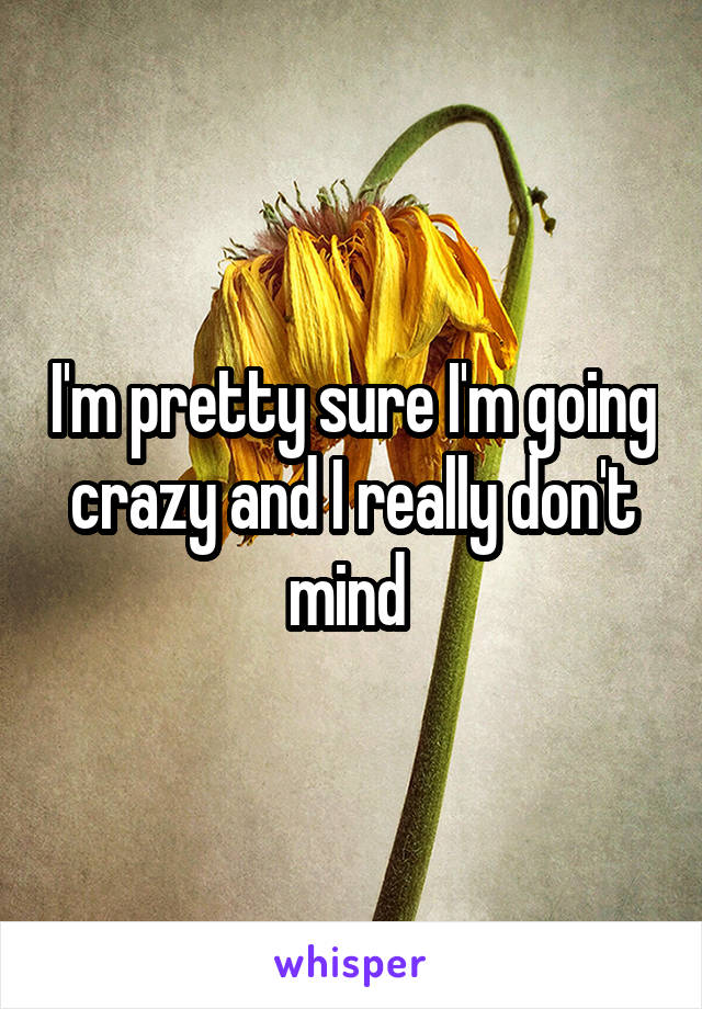 I'm pretty sure I'm going crazy and I really don't mind 