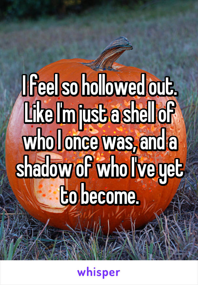 I feel so hollowed out. Like I'm just a shell of who I once was, and a shadow of who I've yet to become.