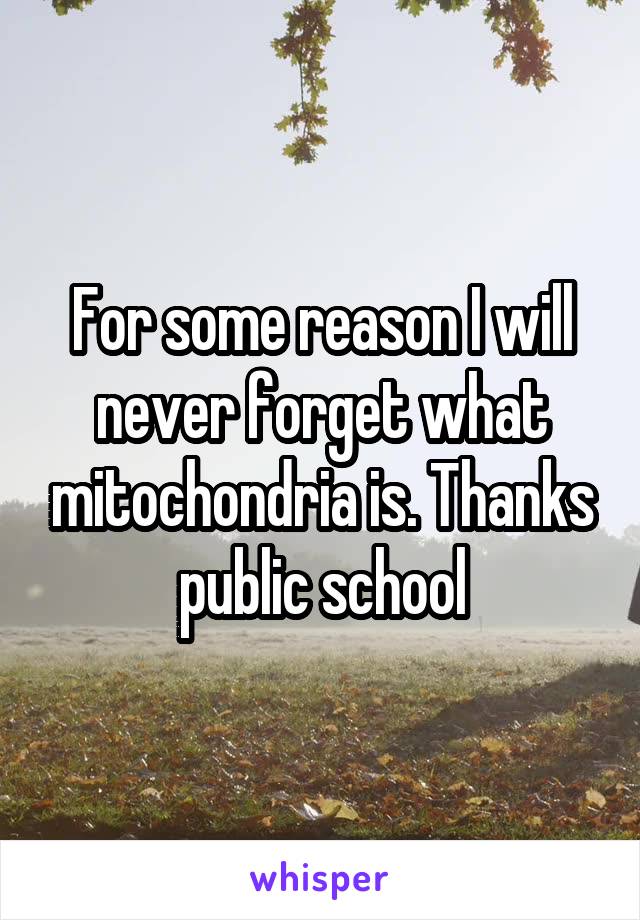 For some reason I will never forget what mitochondria is. Thanks public school