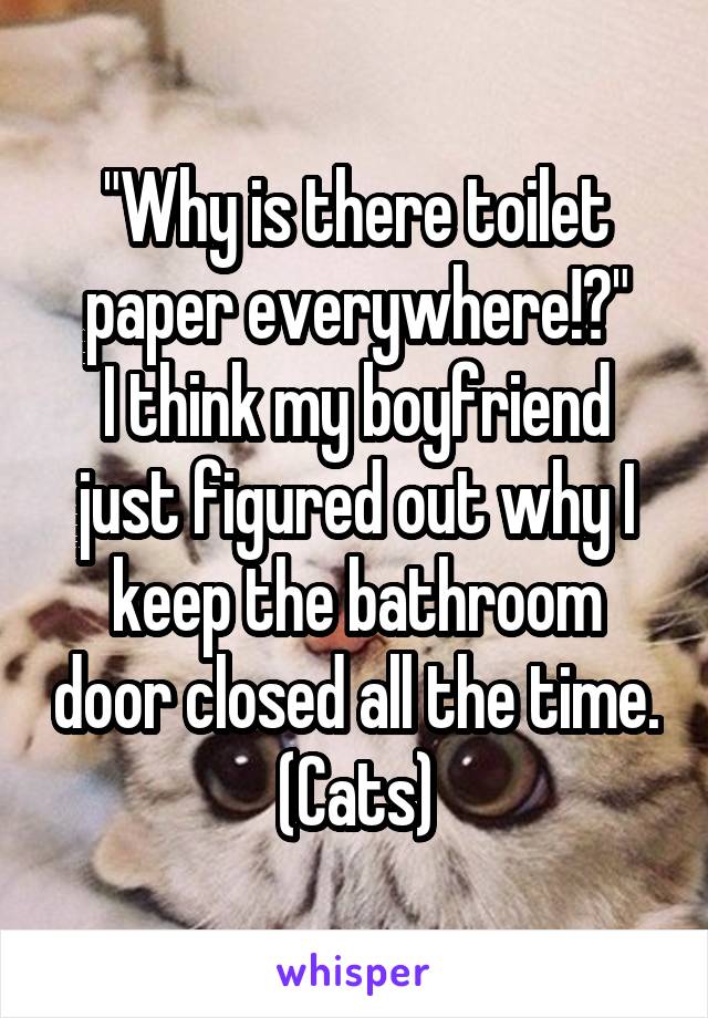 "Why is there toilet paper everywhere!?"
I think my boyfriend just figured out why I keep the bathroom door closed all the time.
(Cats)