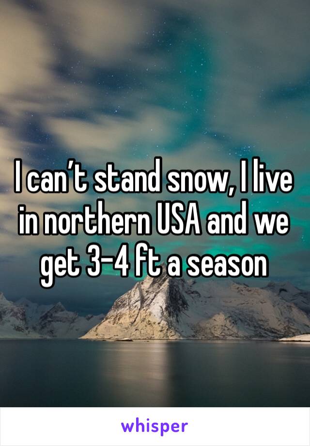 I can’t stand snow, I live in northern USA and we get 3-4 ft a season