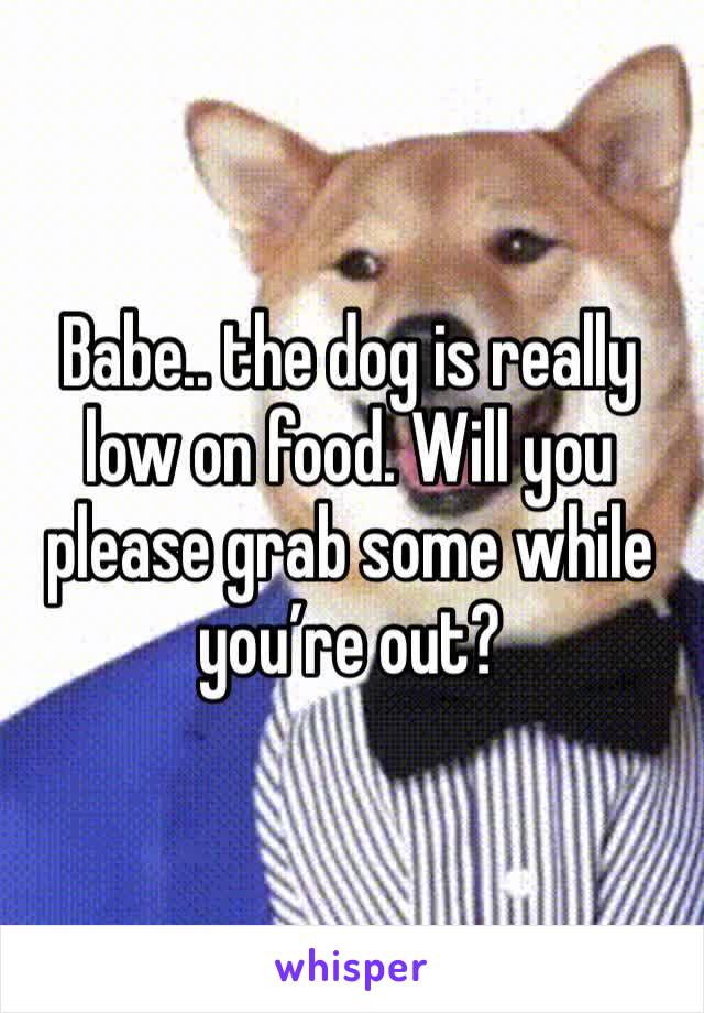 Babe.. the dog is really low on food. Will you please grab some while you’re out?