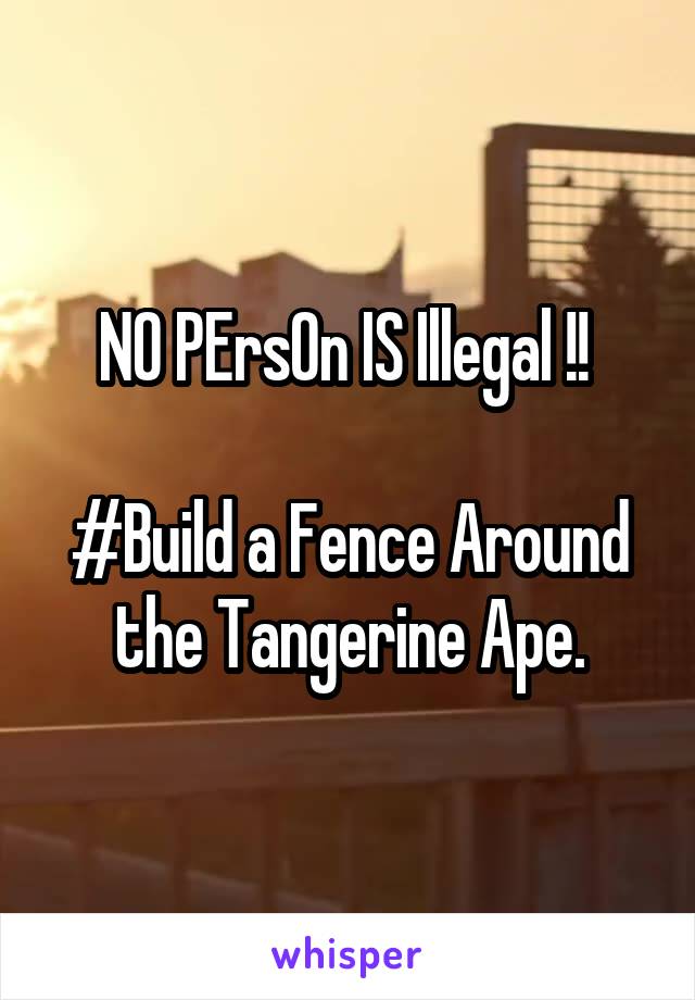 NO PErsOn IS Illegal !! 

#Build a Fence Around the Tangerine Ape.