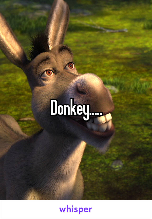 Donkey.....